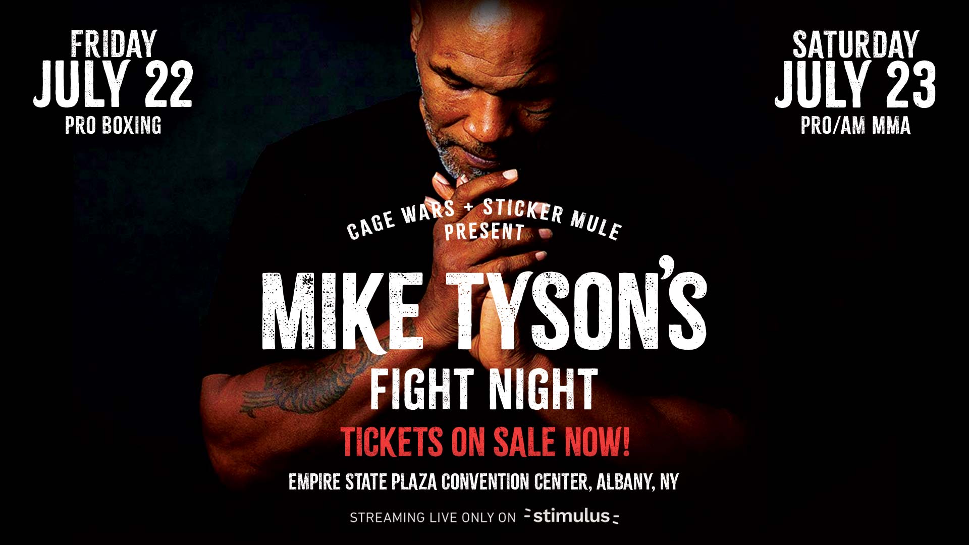 Mike Tyson's Fight Night Albany NY